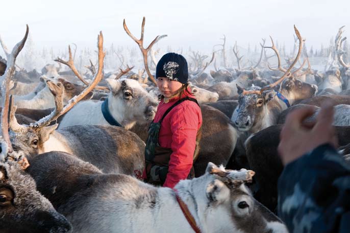 Katya Lebkov. Région autonome Nenets. Février 2008.
