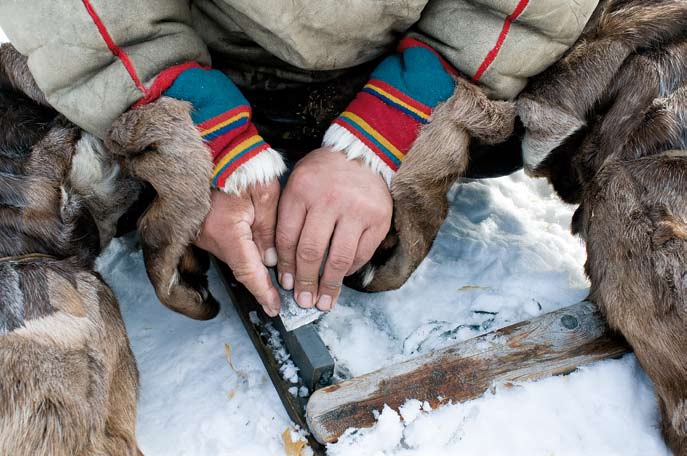 Alexander Seratetto affûte ses outils. Péninsule de Yamal. Mars 2008.