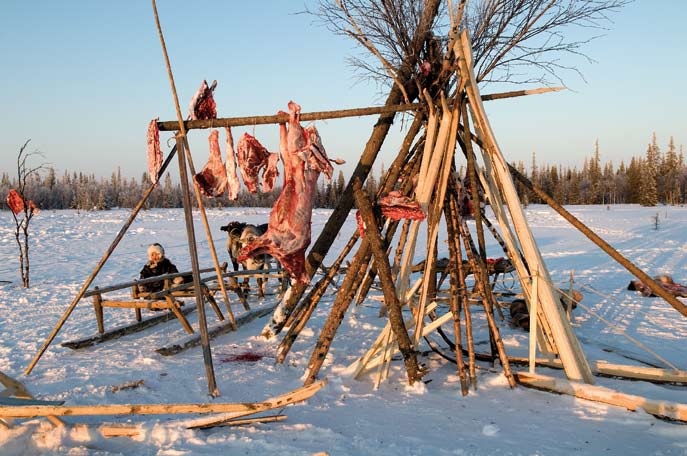 Séchage de la viande et du bois. Région autonome Nenets. Février 2008.