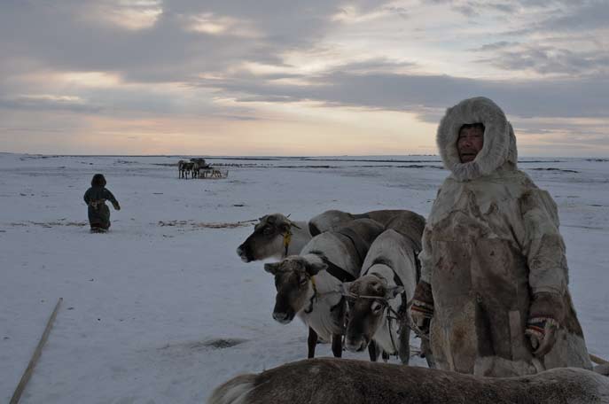 Guenady Seratetto prêt au départ. Péninsule de Yamal. Mars 2008.