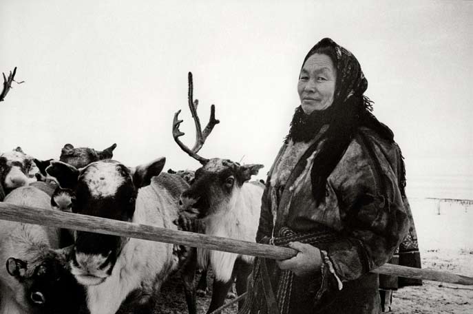 Galina Penkovna avec ses rennes. Péninsule de Yamal. Mars 2008.