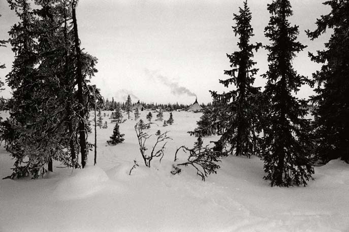 Camp d’hiver, en lisière de la taïga. Région autonome Nenets. Février 2008.